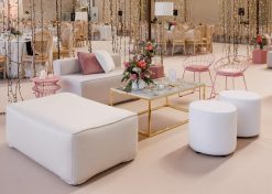Ambiente Roseta
